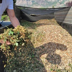 Arborist Mulch and Wood Chips